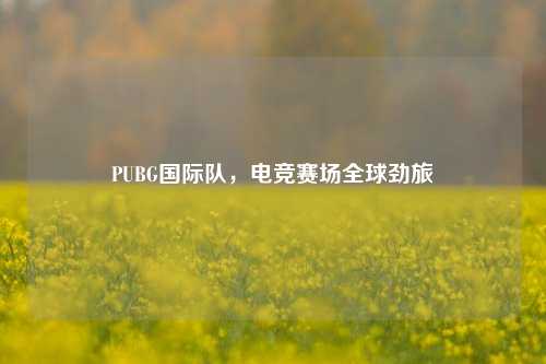 PUBG国际队，电竞赛场全球劲旅