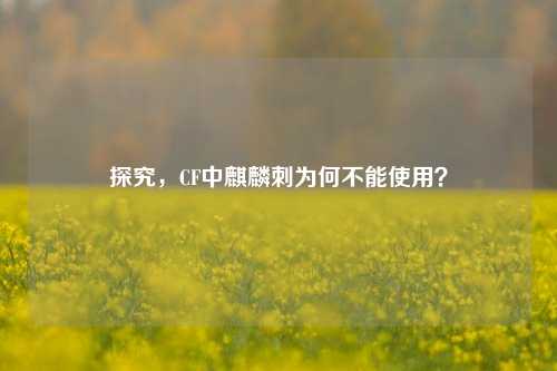 探究,CF中麒麟刺为何不能使用?