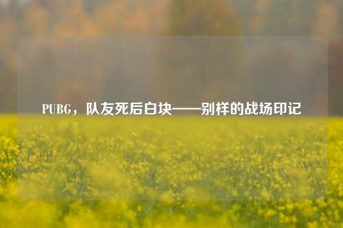 PUBG,队友死后白块——别样的战场印记