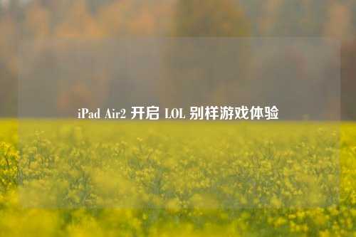 iPad Air2 开启 LOL 别样游戏体验