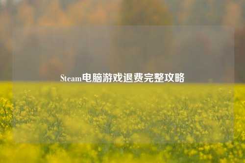 Steam电脑游戏退费完整攻略
