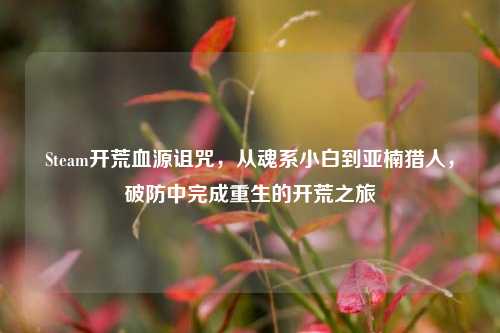 Steam开荒血源诅咒，从魂系小白到亚楠猎人，破防中完成重生的开荒之旅