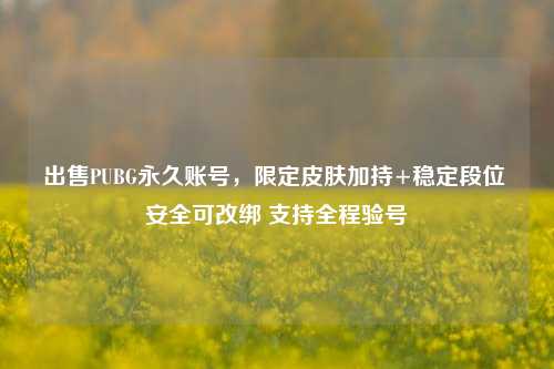 出售PUBG永久账号，限定皮肤加持+稳定段位 安全可改绑 支持全程验号