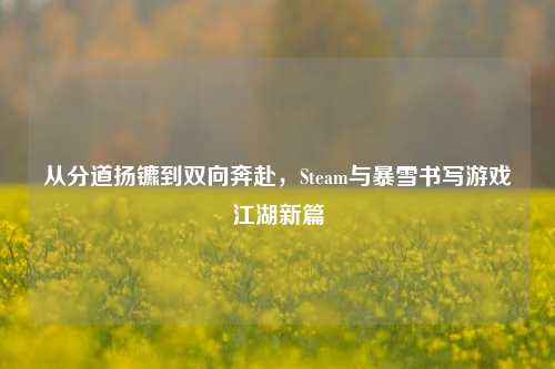 从分道扬镳到双向奔赴，Steam与暴雪书写游戏江湖新篇