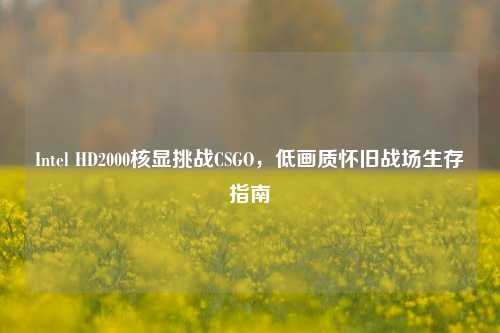 Intel HD2000核显挑战CSGO，低画质怀旧战场生存指南
