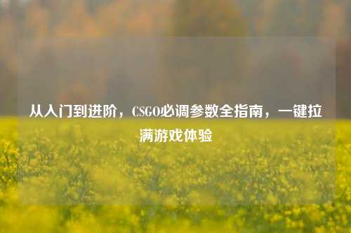 从入门到进阶，CSGO必调参数全指南，一键拉满游戏体验