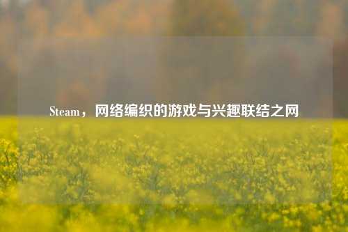 Steam，     编织的游戏与兴趣联结之网