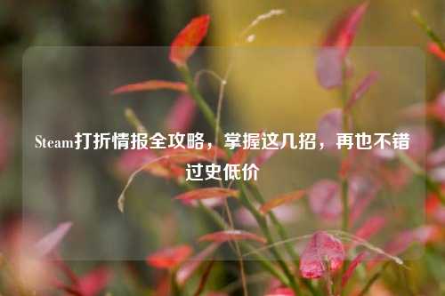 Steam打折情报全攻略，掌握这几招，再也不错过史低价