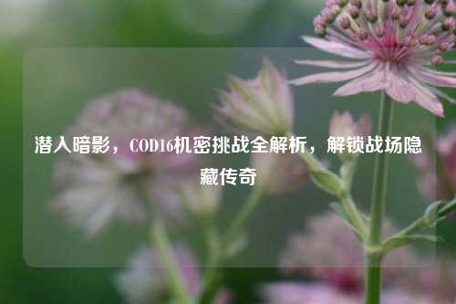 潜入暗影,COD16机密挑战全解析,解锁战场隐藏传奇
