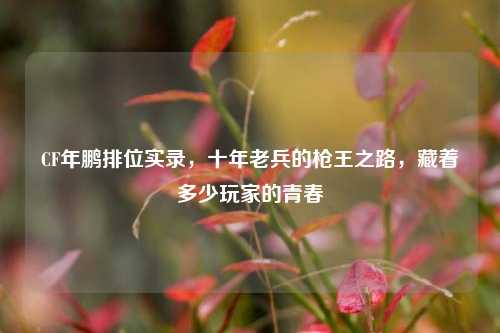 CF年鹏排位实录，十年老兵的枪王之路，藏着多少玩家的青春