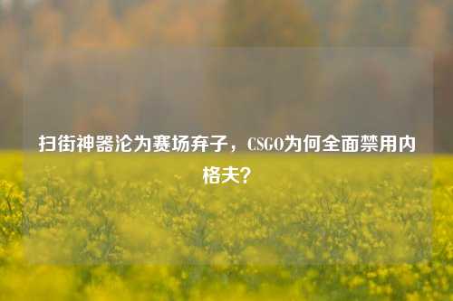 扫街神器沦为赛场弃子，CSGO为何全面禁用内格夫？