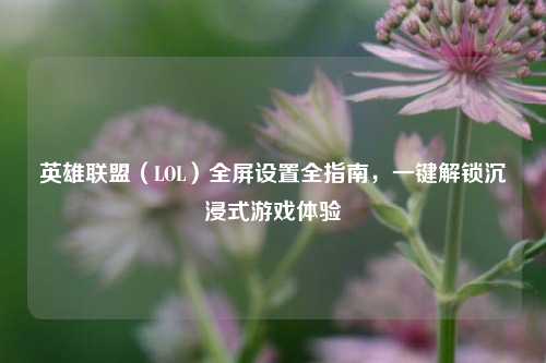 英雄联盟（LOL）全屏设置全指南，一键解锁沉浸式游戏体验