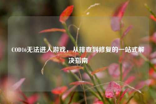 COD16无法进入游戏，从排查到修复的一站式解决指南