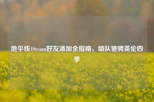 地平线4Steam好友添加全指南,组队驰骋英伦四季