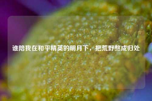 谁陪我在和平精英的明月下，把荒野熬成归处