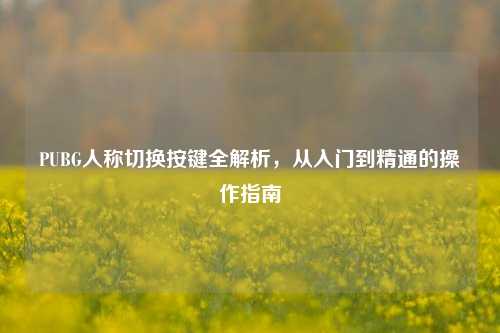PUBG人称切换按键全解析，从入门到精通的操作指南
