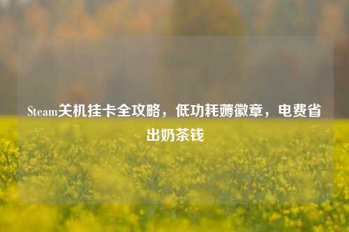 Steam关机挂卡全攻略,低功耗薅徽章,电费省出奶茶钱