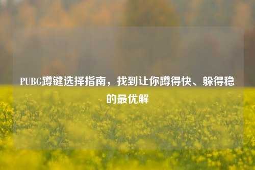 PUBG蹲键选择指南，找到让你蹲得快、躲得稳的更优解