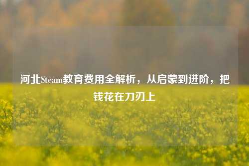 河北Steam教育费用全解析，从启蒙到进阶，把钱花在刀刃上