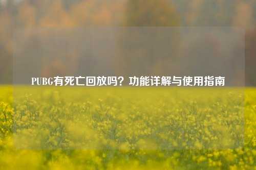PUBG有死亡回放吗？功能详解与使用指南