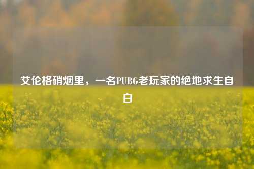 艾伦格硝烟里，一名PUBG老玩家的绝地求生自白