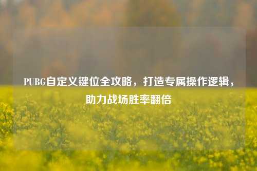 PUBG自定义键位全攻略，打造专属操作逻辑，助力战场胜率翻倍