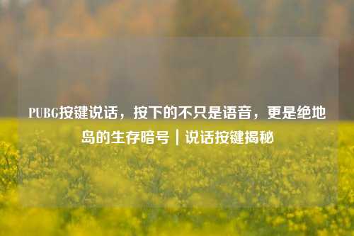 PUBG按键说话,按下的不只是语音,更是绝地岛的生存暗号|说话按键揭秘