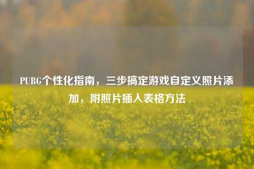 PUBG个性化指南,三步搞定游戏自定义照片添加,附照片插入表格