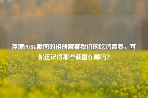 存满PUBG截图的相册藏着我们的吃鸡青春，可你还记得那些截图在哪吗？