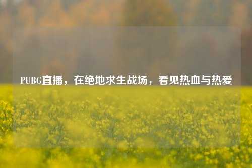 PUBG直播,在绝地求生战场,看见热血与热爱