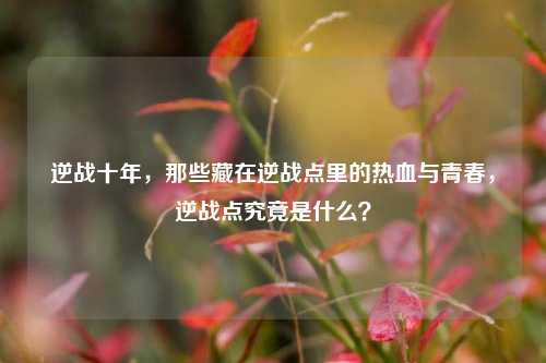 逆战十年,那些藏在逆战点里的热血与青春,逆战点究竟是什么?