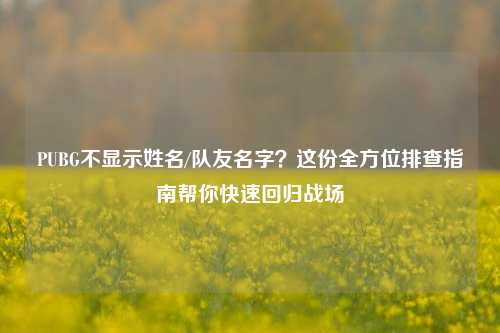 PUBG不显示姓名/队友名字？这份全方位排查指南帮你快速回归战场