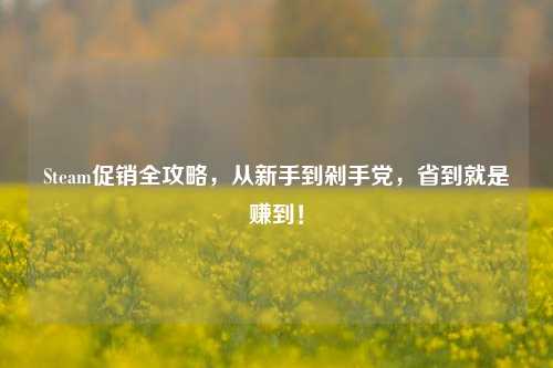 Steam促销全攻略，从新手到剁手党，省到就是赚到！