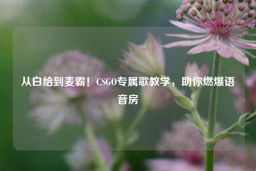 从白给到麦霸！CSGO专属歌教学，助你燃爆语音房