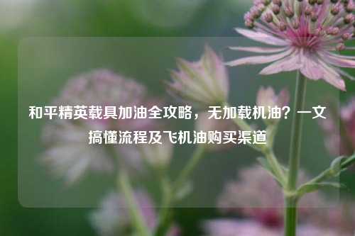 和平精英载具加油全攻略，无加载机油？一文搞懂流程及飞机油购买渠道