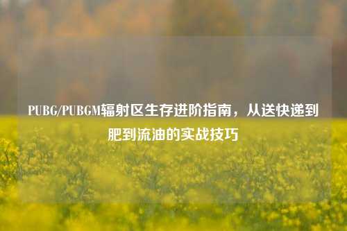 PUBG/PUBGM辐射区生存进阶指南，从送快递到肥到流油的实战技巧