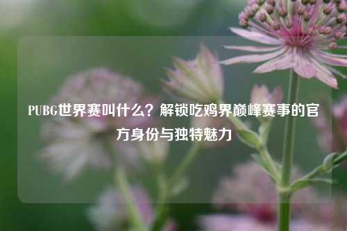 PUBG世界赛叫什么?解锁吃鸡界巅峰赛事的官方身份与独特魅力