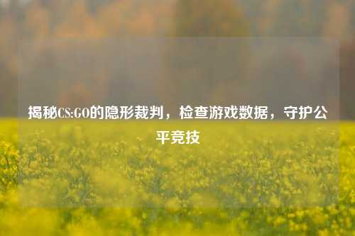 揭秘CS:GO的隐形裁判，检查游戏数据，守护公平竞技