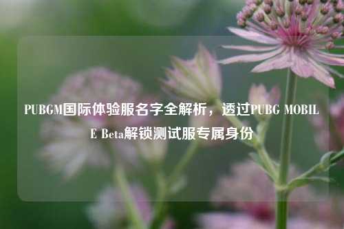 PUBGM国际体验服名字全解析,透过PUBG MOBILE Beta解锁测试服专属身份