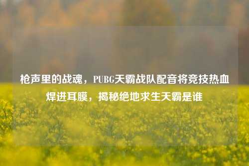 枪声里的战魂，PUBG天霸战队配音将竞技热血焊进耳膜，揭秘绝地求生天霸是谁