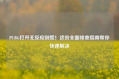 PUBG打开无反应别慌！这份全面排查指南帮你快速解决