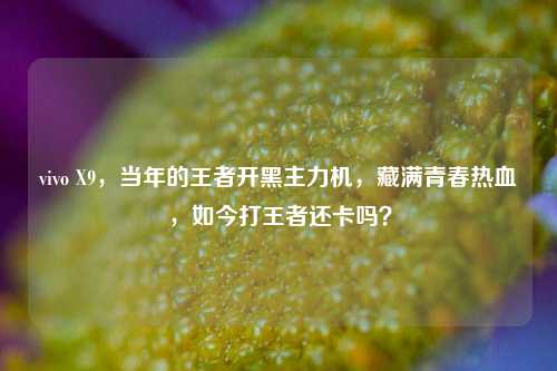 vivo X9，当年的王者开黑主力机，藏满青春热血，如今打王者还卡吗？