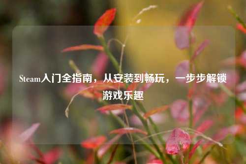 Steam入门全指南，从安装到畅玩，一步步解锁游戏乐趣