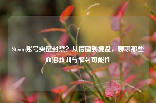 Steam账号突遭封禁?从懵圈到复盘,聊聊那些血泪教训与解封可能性