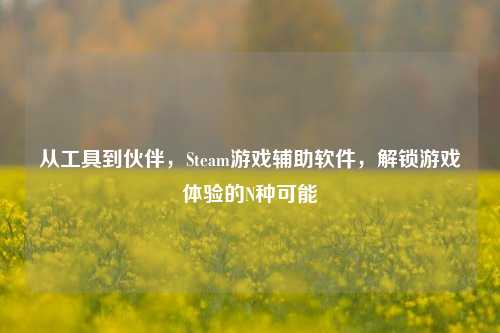 从工具到伙伴，Steam游戏辅助软件，解锁游戏体验的N种可能