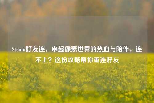 Steam好友连,串起像素世界的热血与陪伴,连不上?这份攻略帮你重连好友