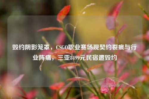 毁约阴影笼罩,CSGO职业赛场现契约裂痕与行业阵痛,三亚8499元民宿遭毁约