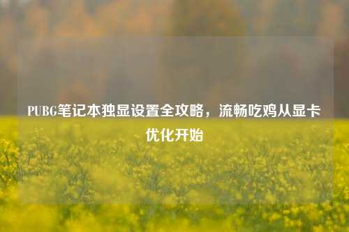 PUBG笔记本独显设置全攻略,流畅吃鸡从显卡优化开始