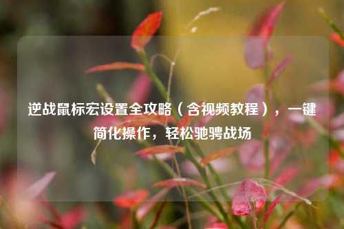 逆战鼠标宏设置全攻略（含视频教程），一键简化操作，轻松驰骋战场