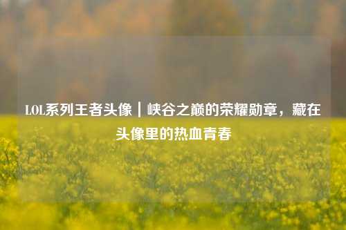 LOL系列王者头像｜峡谷之巅的荣耀勋章，藏在头像里的热血青春